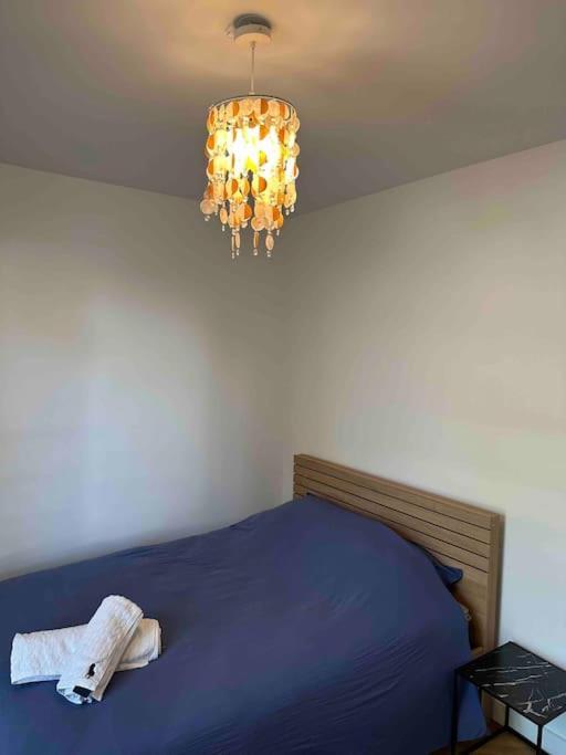 Charmant T3 Moderne Climatise Villeurbanne Exterior photo