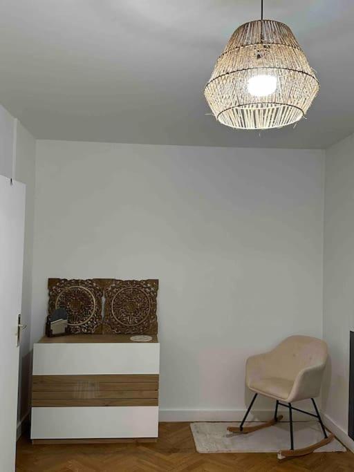 Charmant T3 Moderne Climatise Villeurbanne Exterior photo